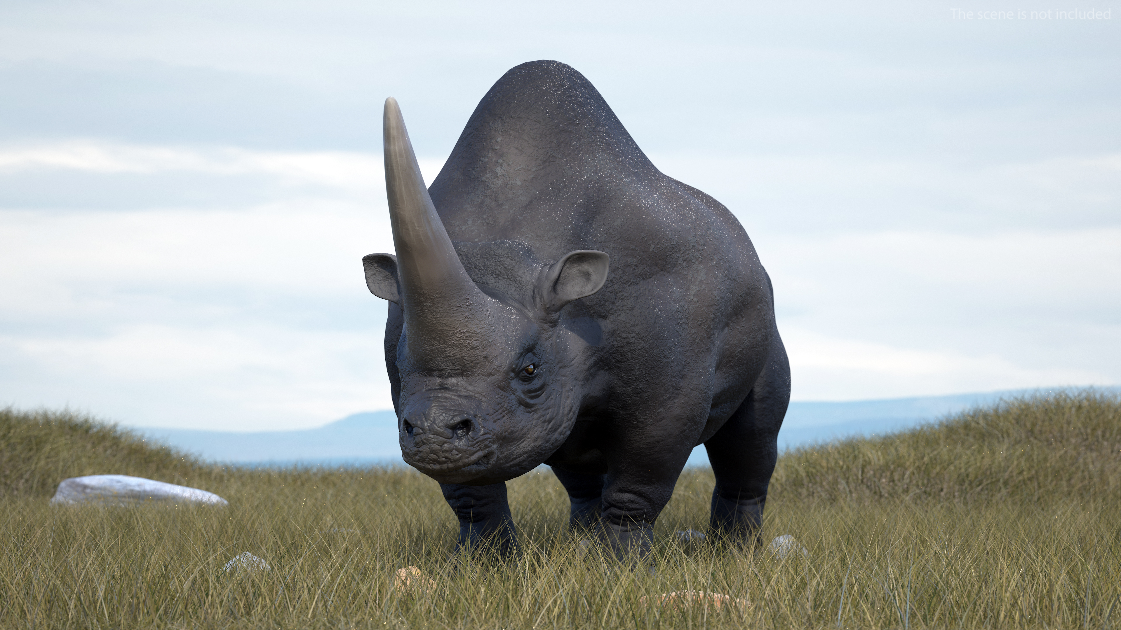 Elasmotherium Rigged for Maya 3D model