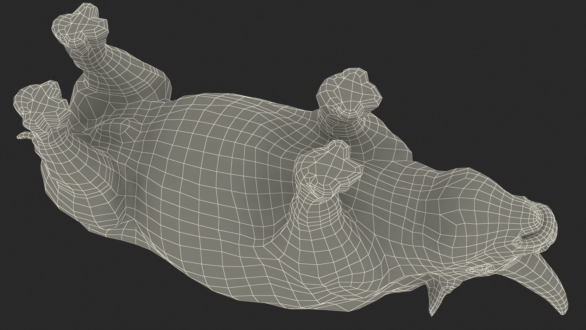 Elasmotherium Rigged for Maya 3D model