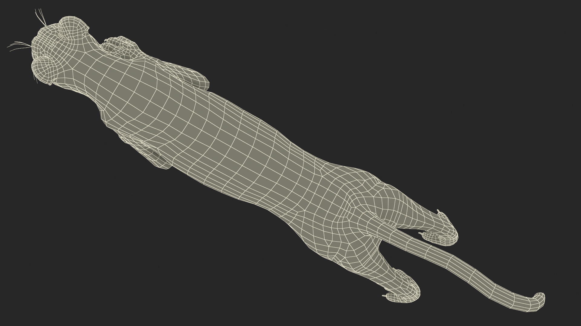 3D Jumping Puma Fur