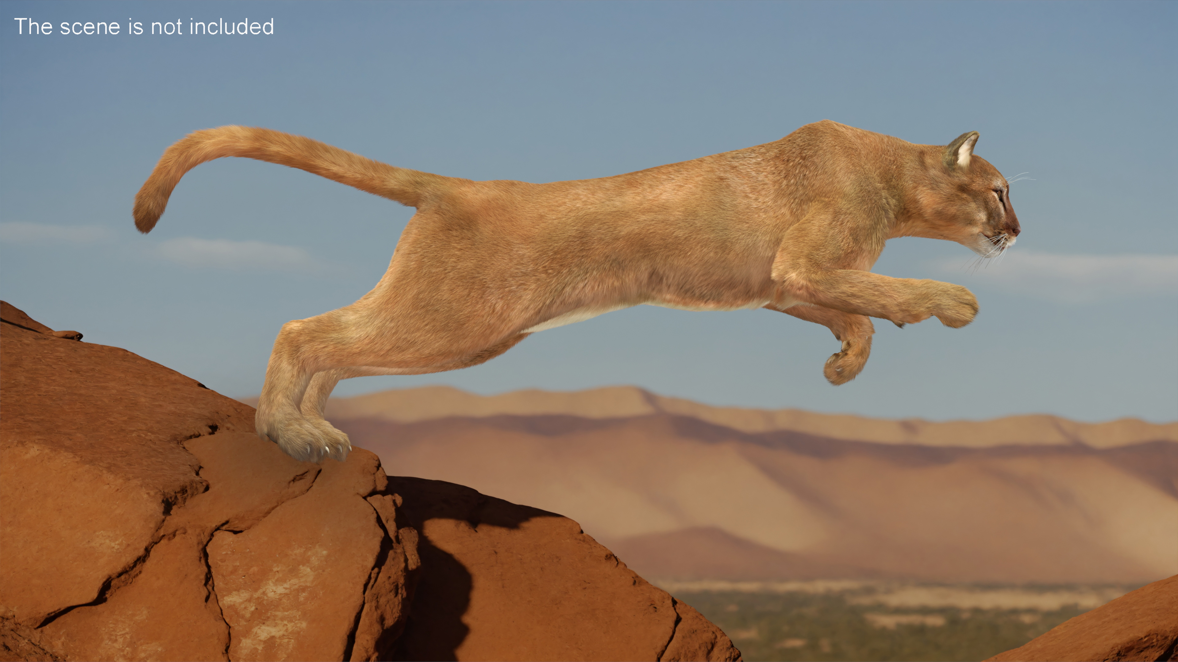 3D Jumping Puma Fur