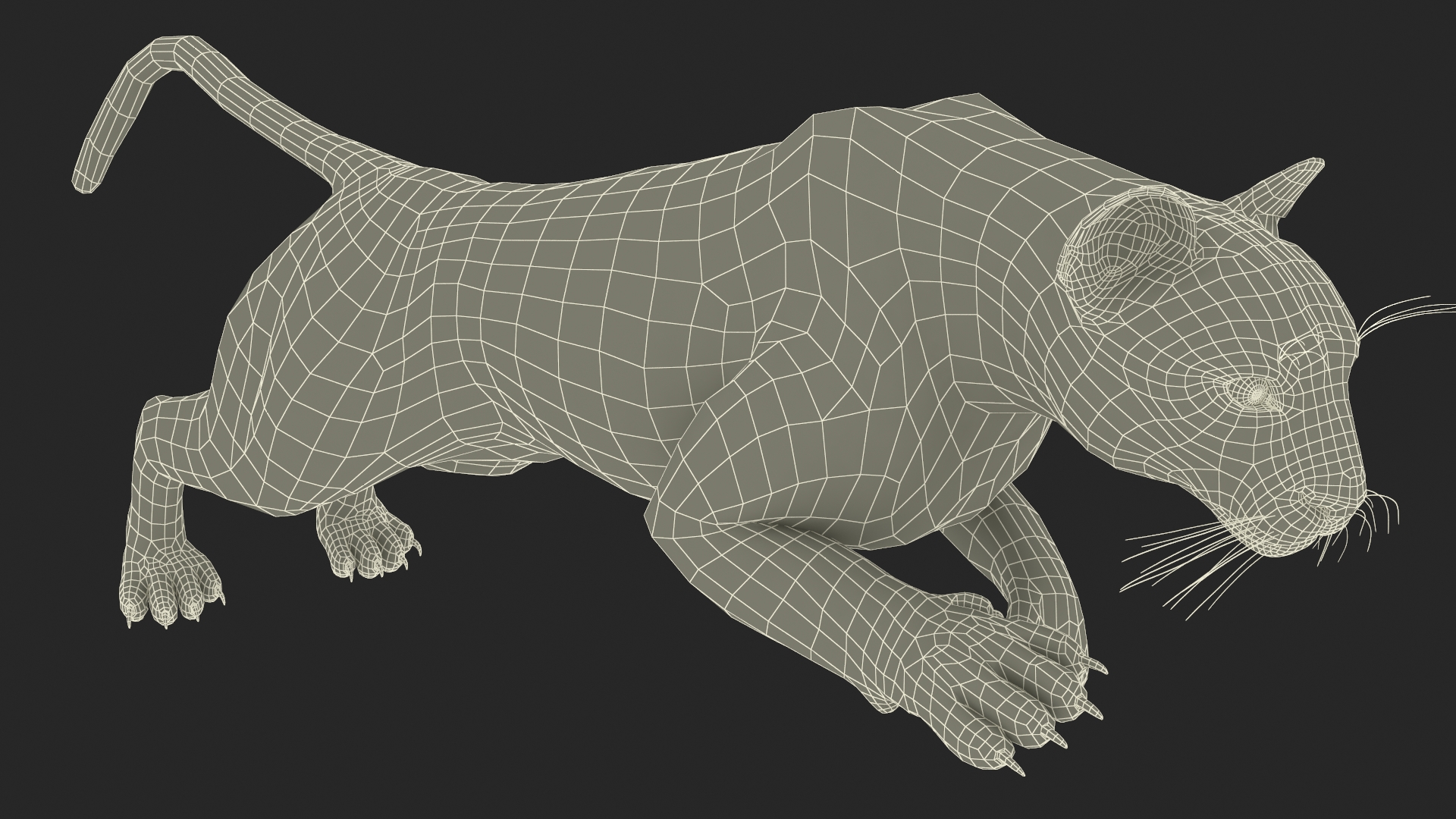 3D Jumping Puma Fur