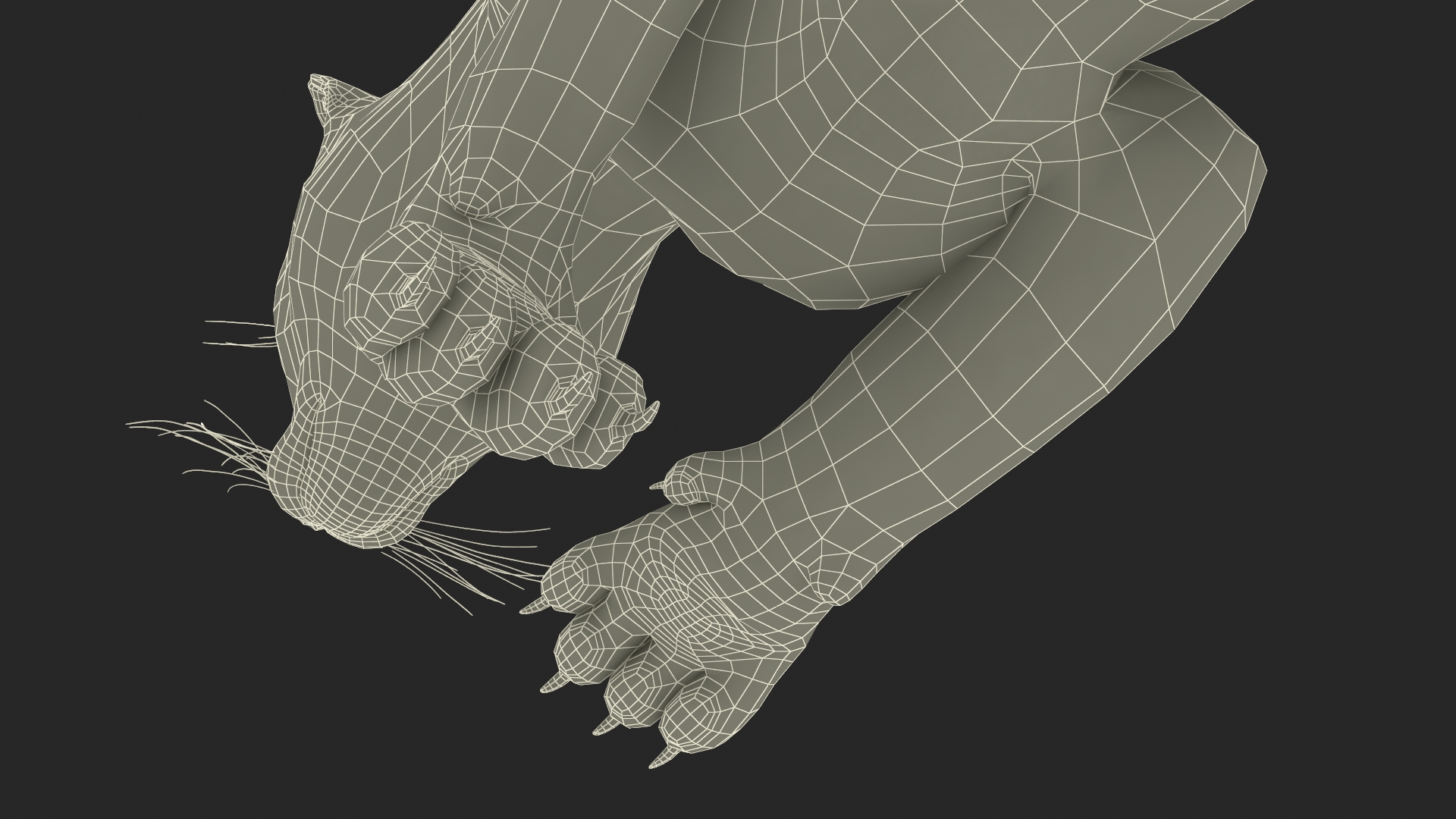 3D Jumping Puma Fur
