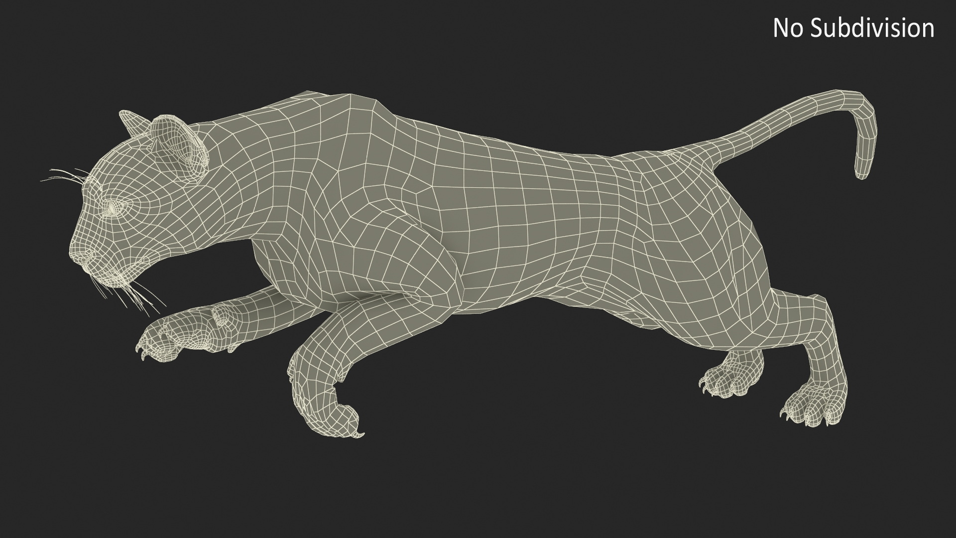 3D Jumping Puma Fur