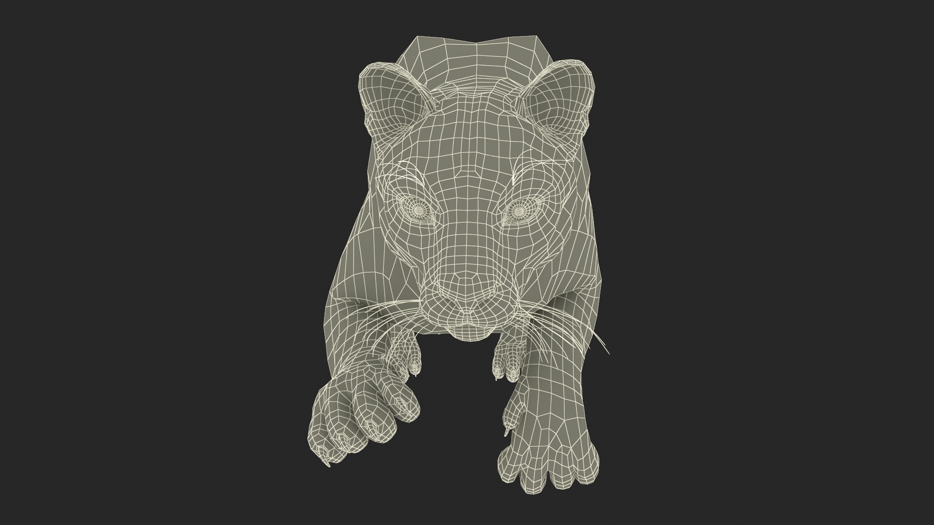 3D Jumping Puma Fur