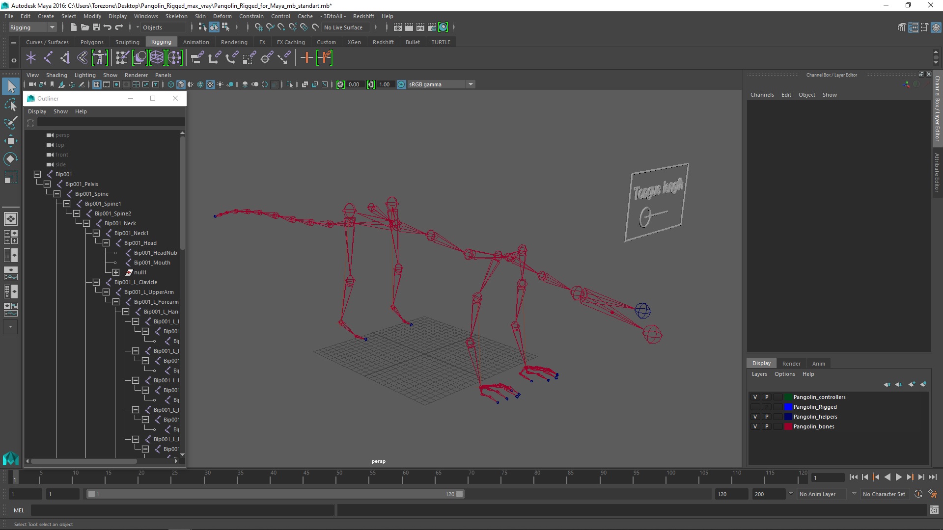 Pangolin Rigged for Maya 3D model