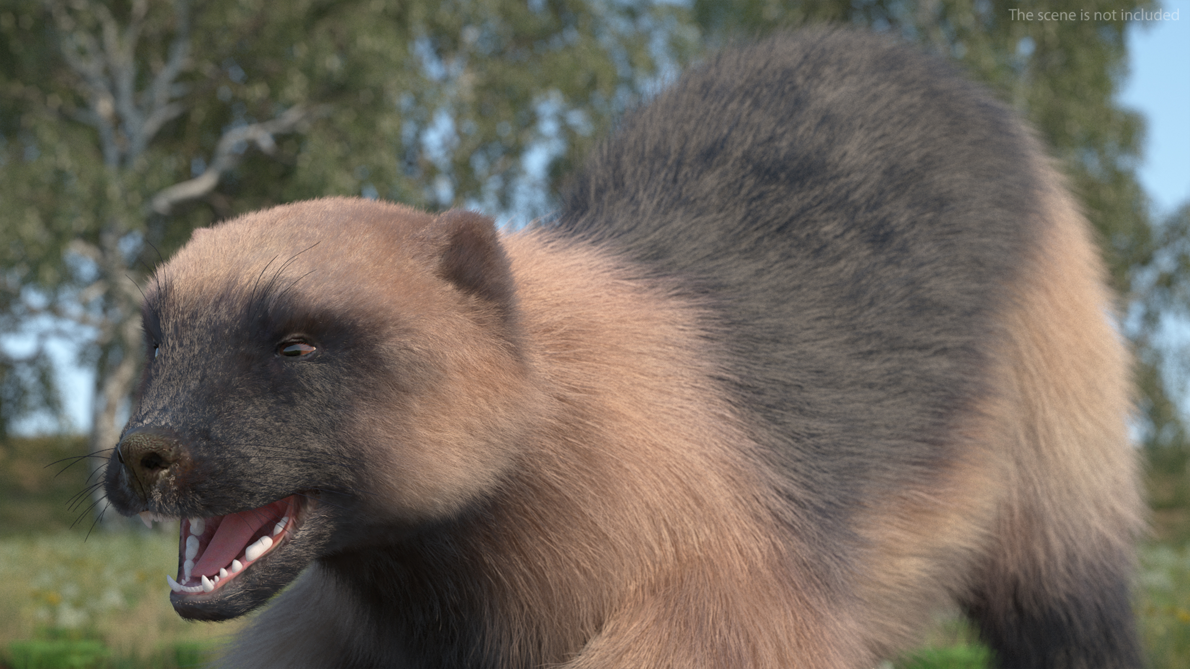Wolverine Prepares Attack Pose Fur 3D model