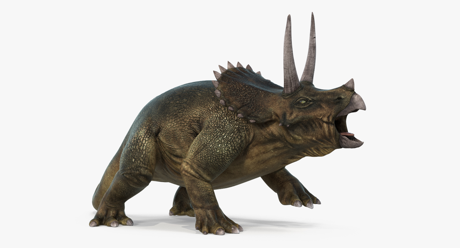 3D model Triceratops Fighting Pose