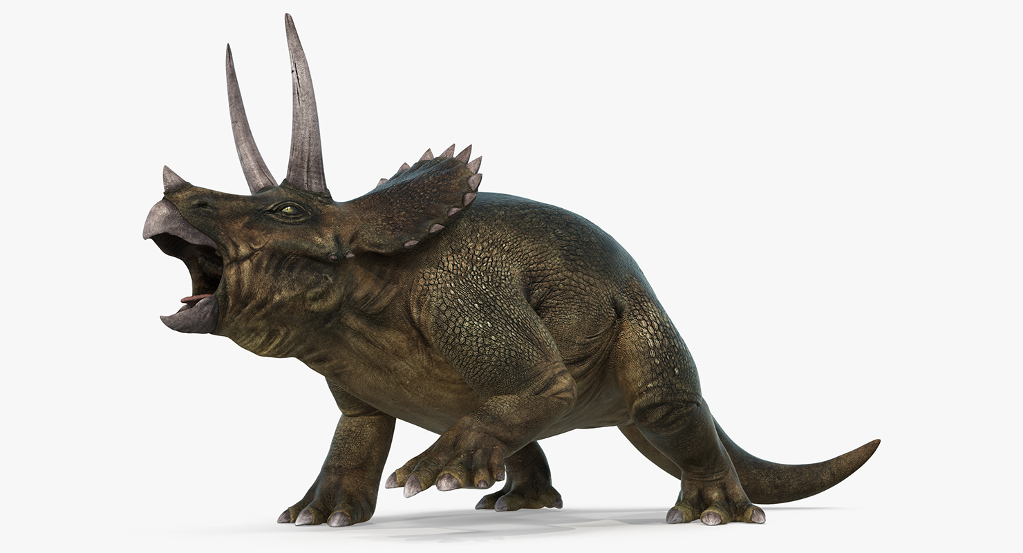 3D model Triceratops Fighting Pose