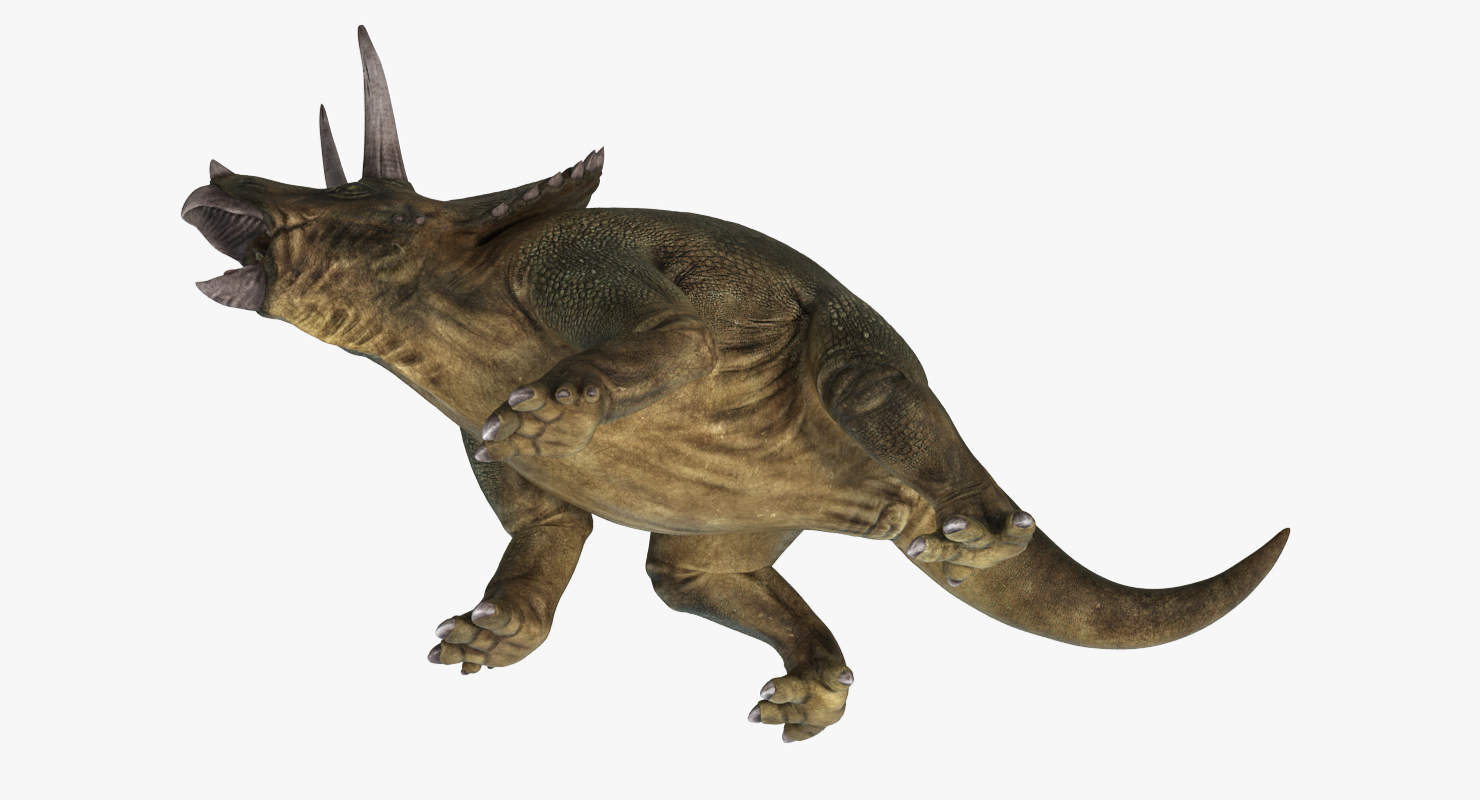 3D model Triceratops Fighting Pose