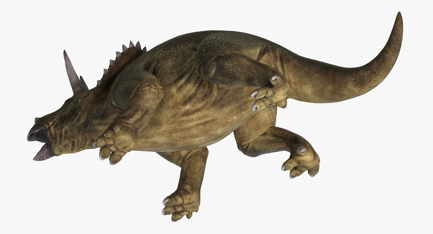3D model Triceratops Fighting Pose