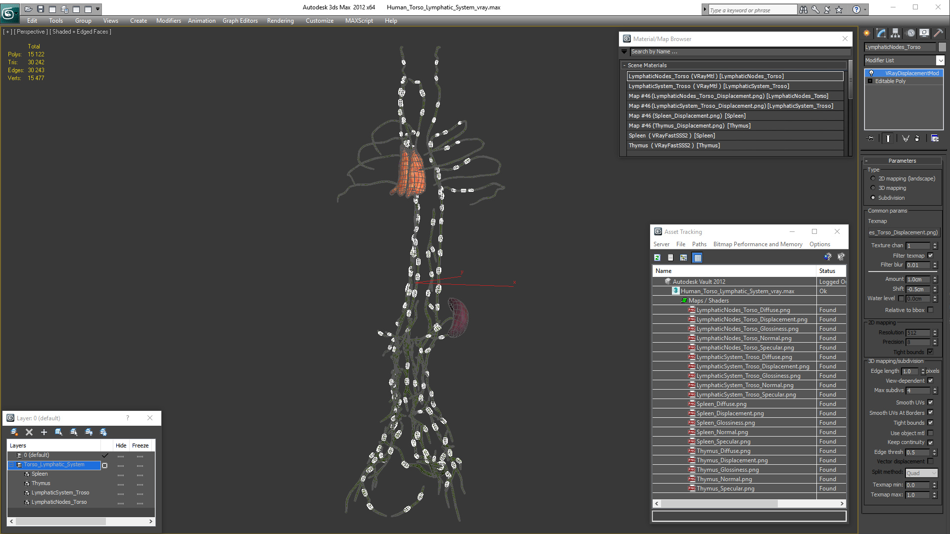 3D Human Torso Lymphatic System model