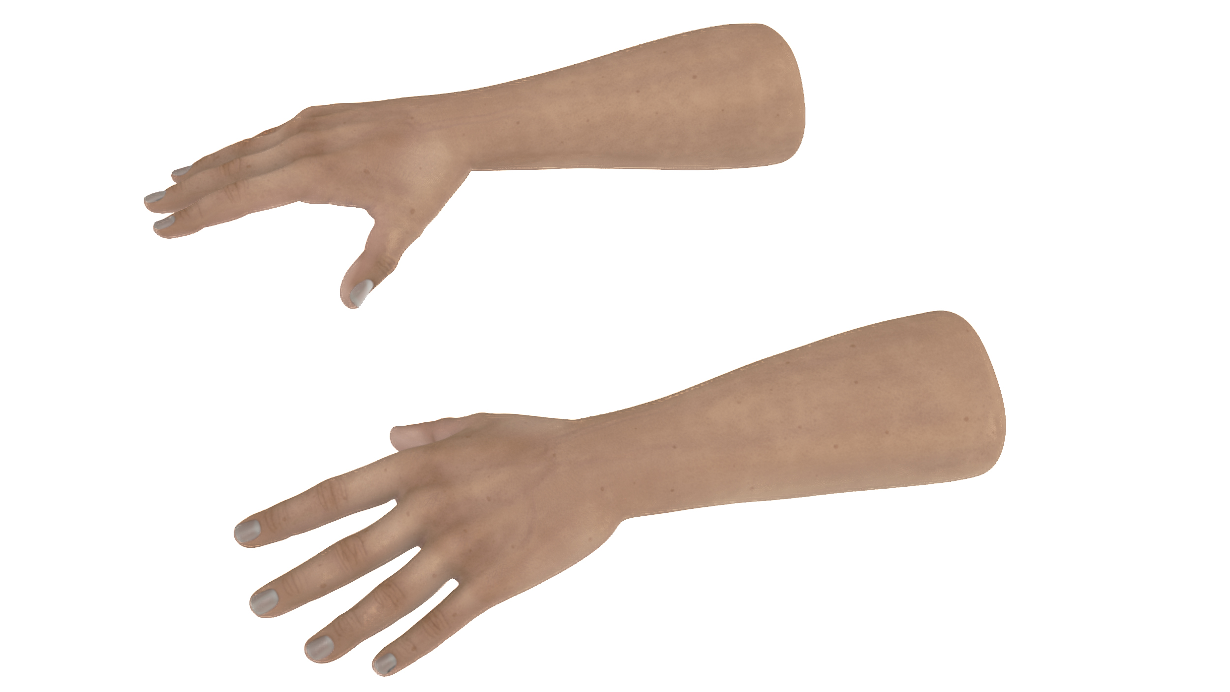 3D model Man Hands Rigged for Maya