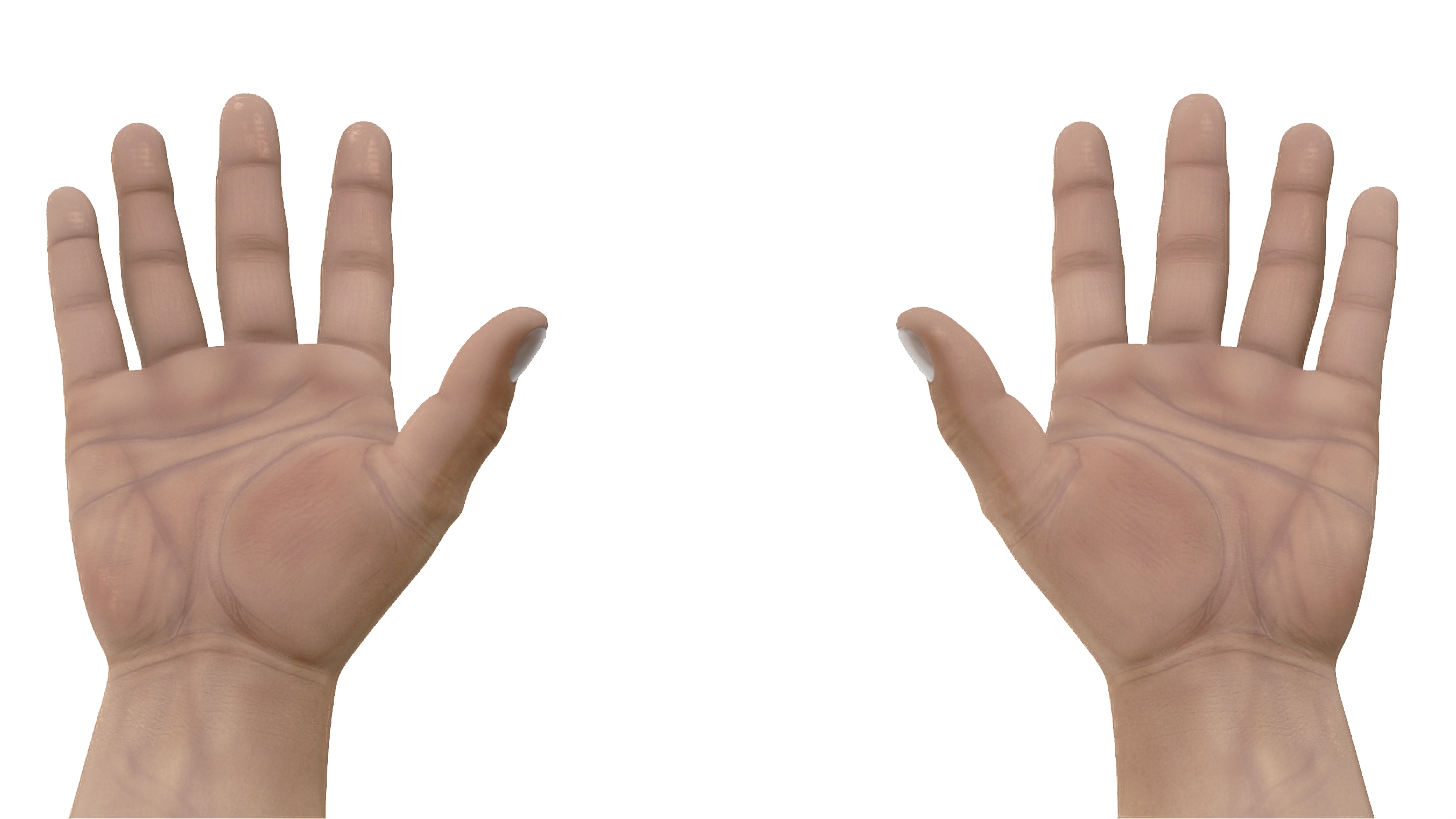 3D model Man Hands Rigged for Maya