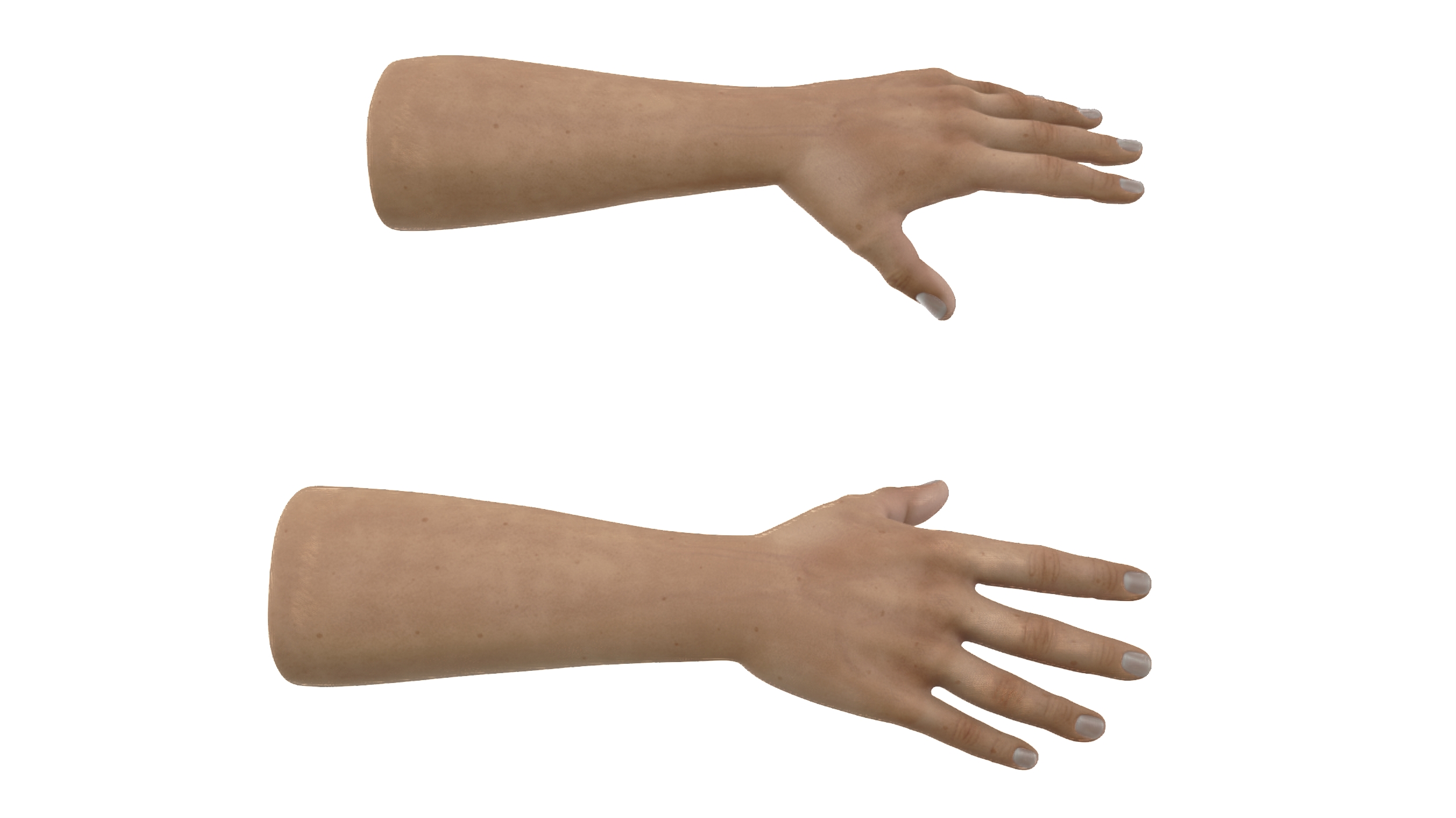 3D model Man Hands Rigged for Maya