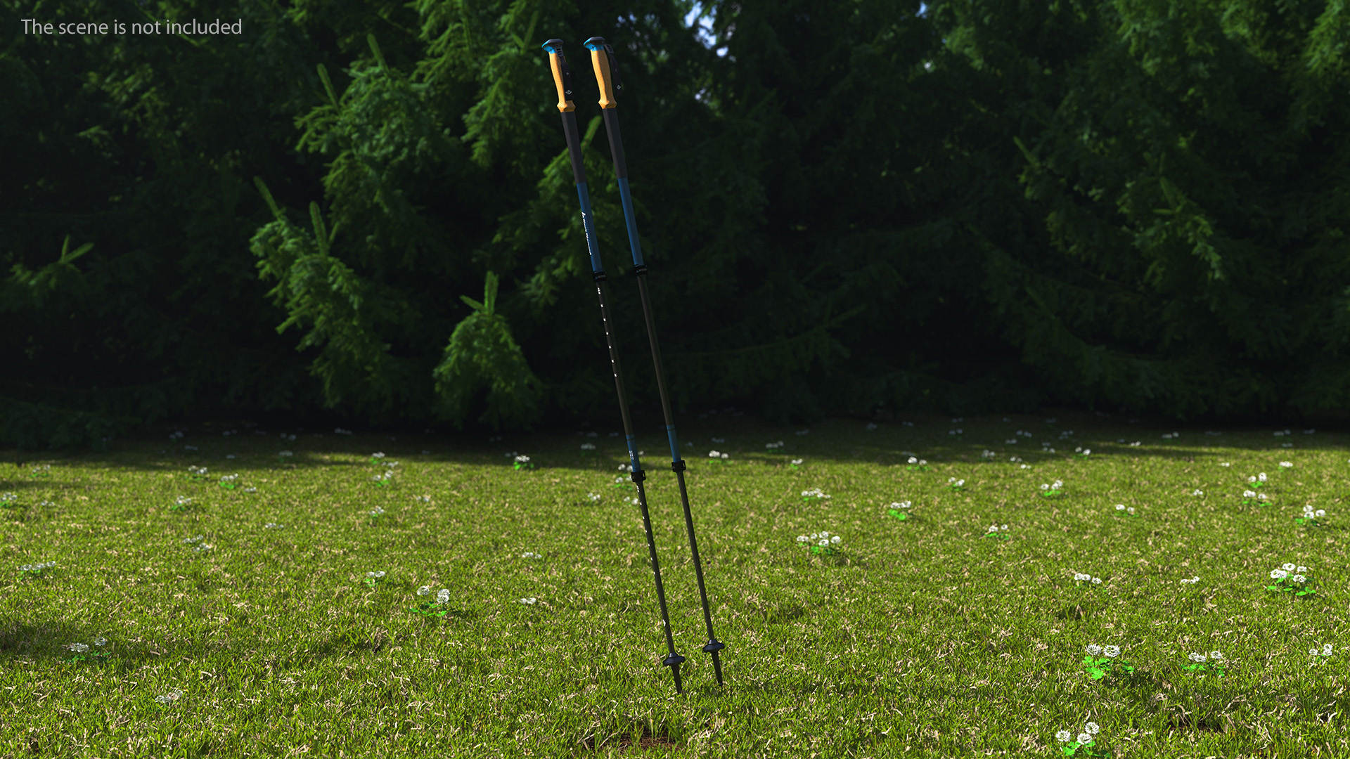 3D model Idle Blue Black Diamond Carbon Trekking-Poles