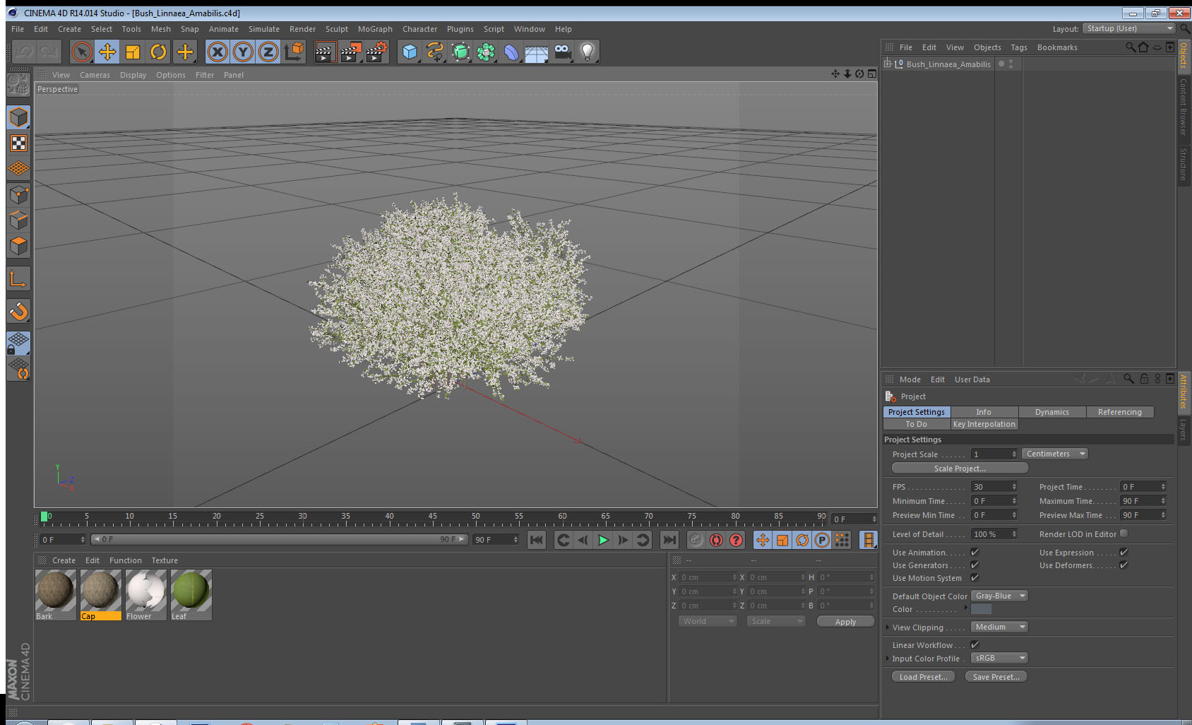 3D Bush Linnaea Amabilis