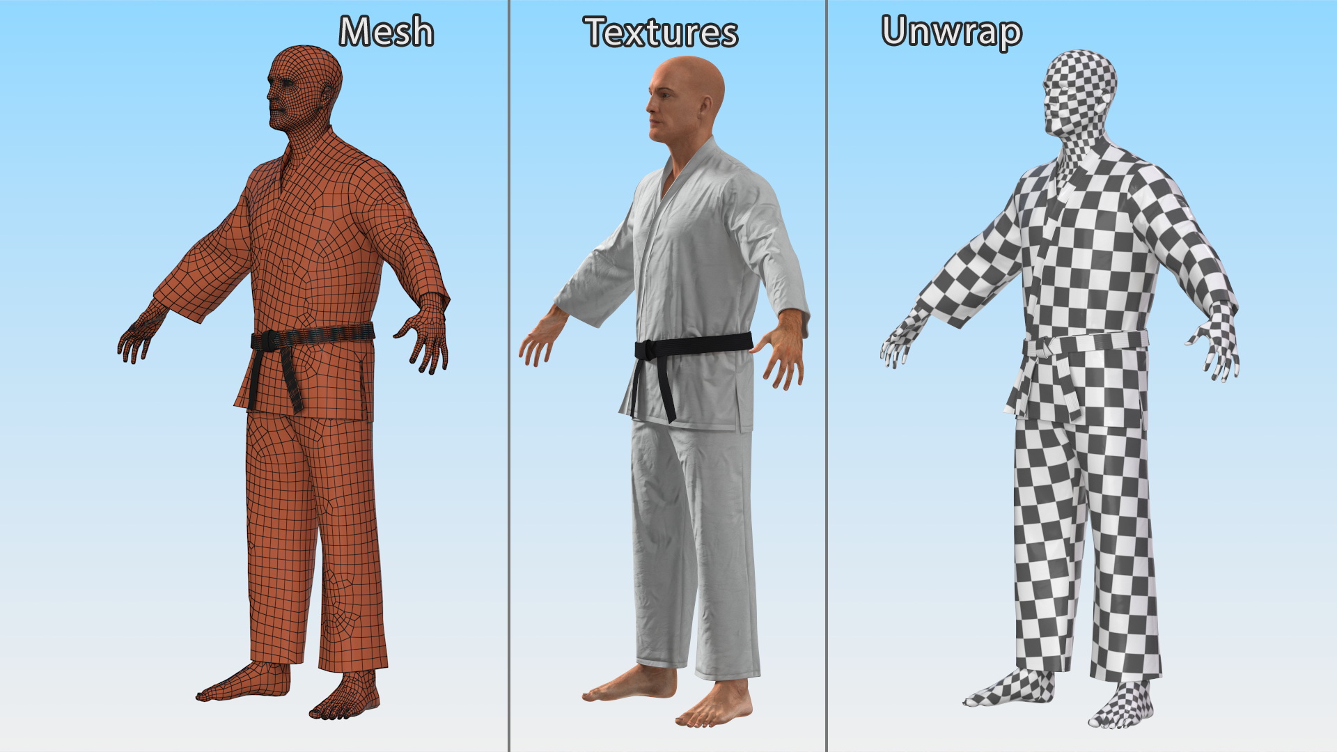 3D Karate Practitioner in Gi with Black Belt Rigged model