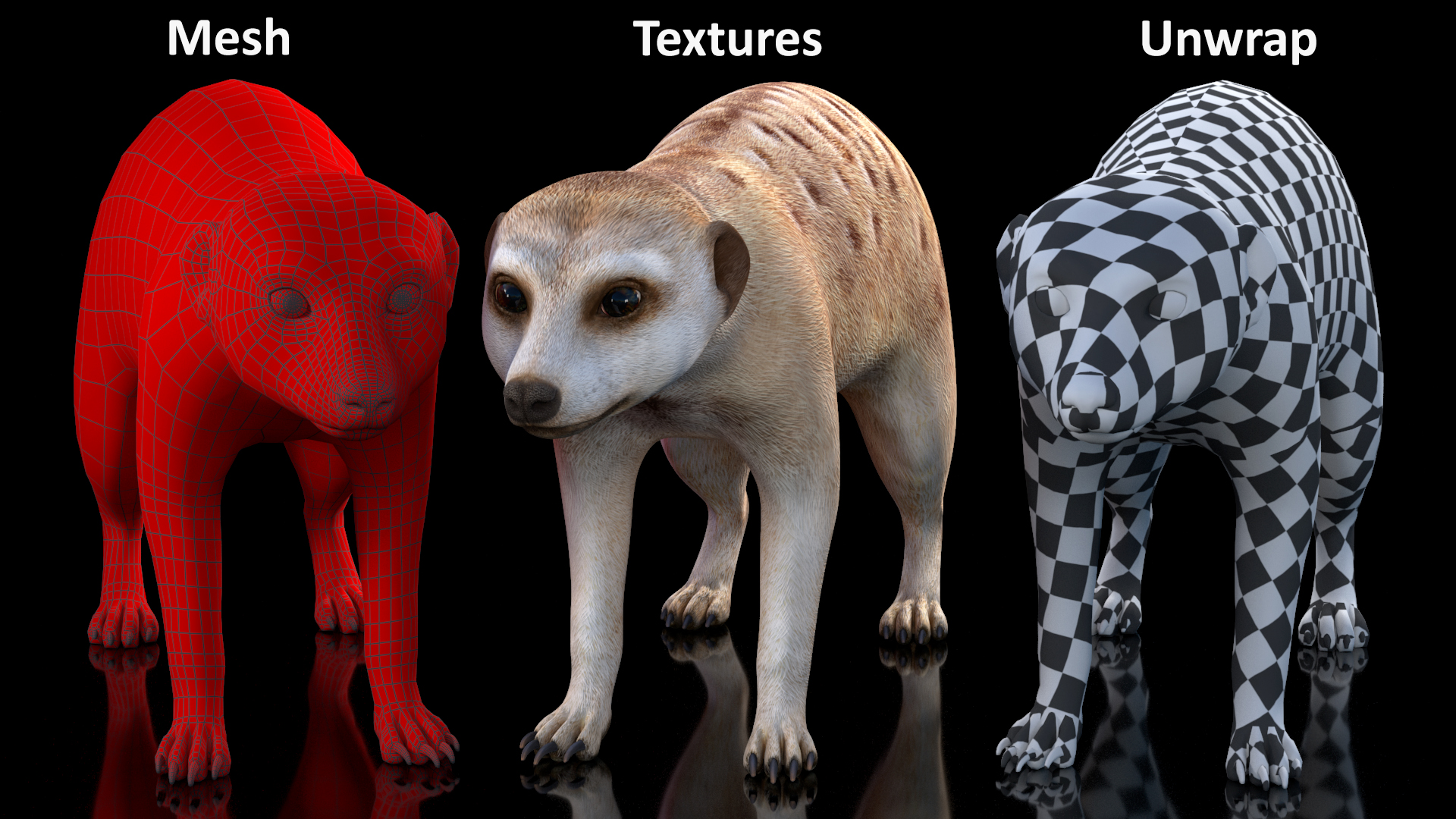 3D model Meerkat Neutral Pose