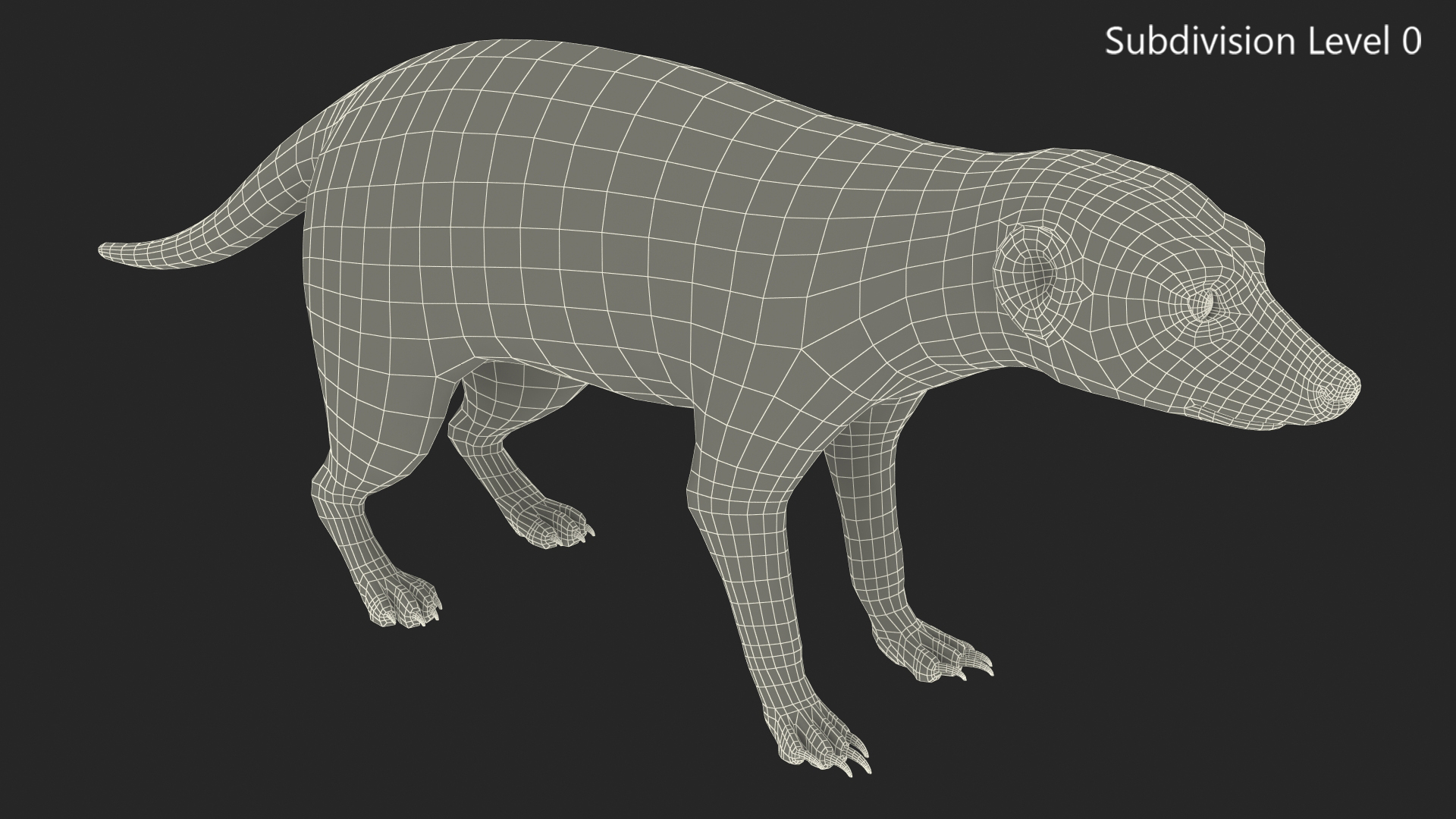 3D model Meerkat Neutral Pose