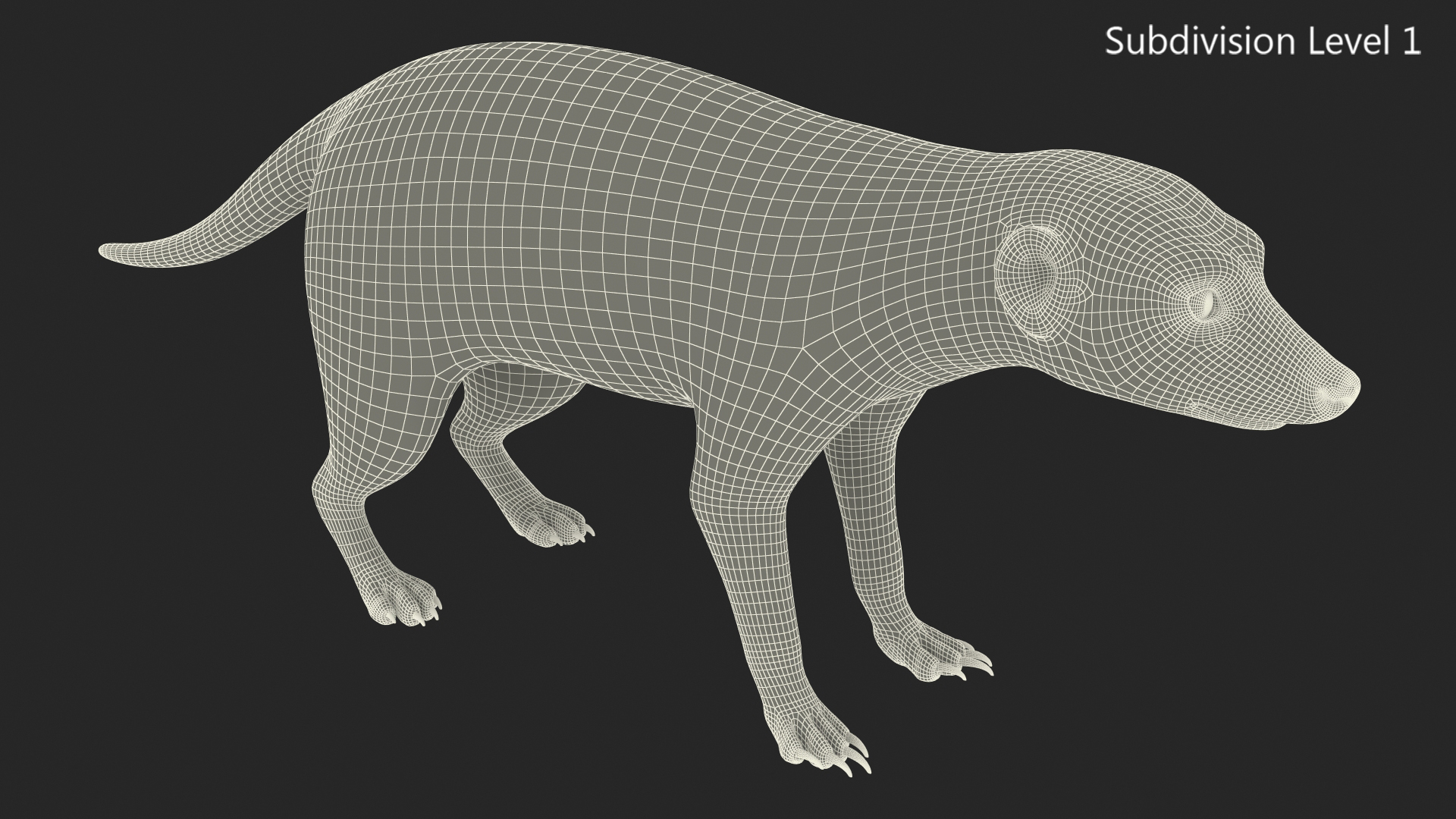 3D model Meerkat Neutral Pose