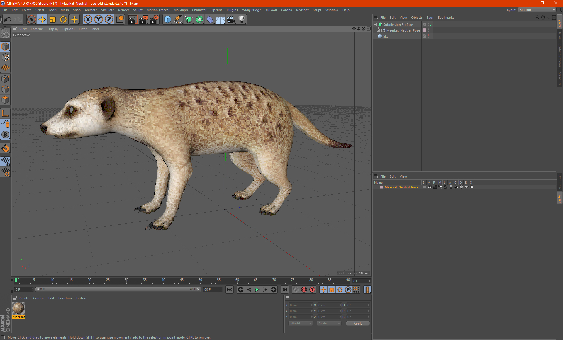 3D model Meerkat Neutral Pose