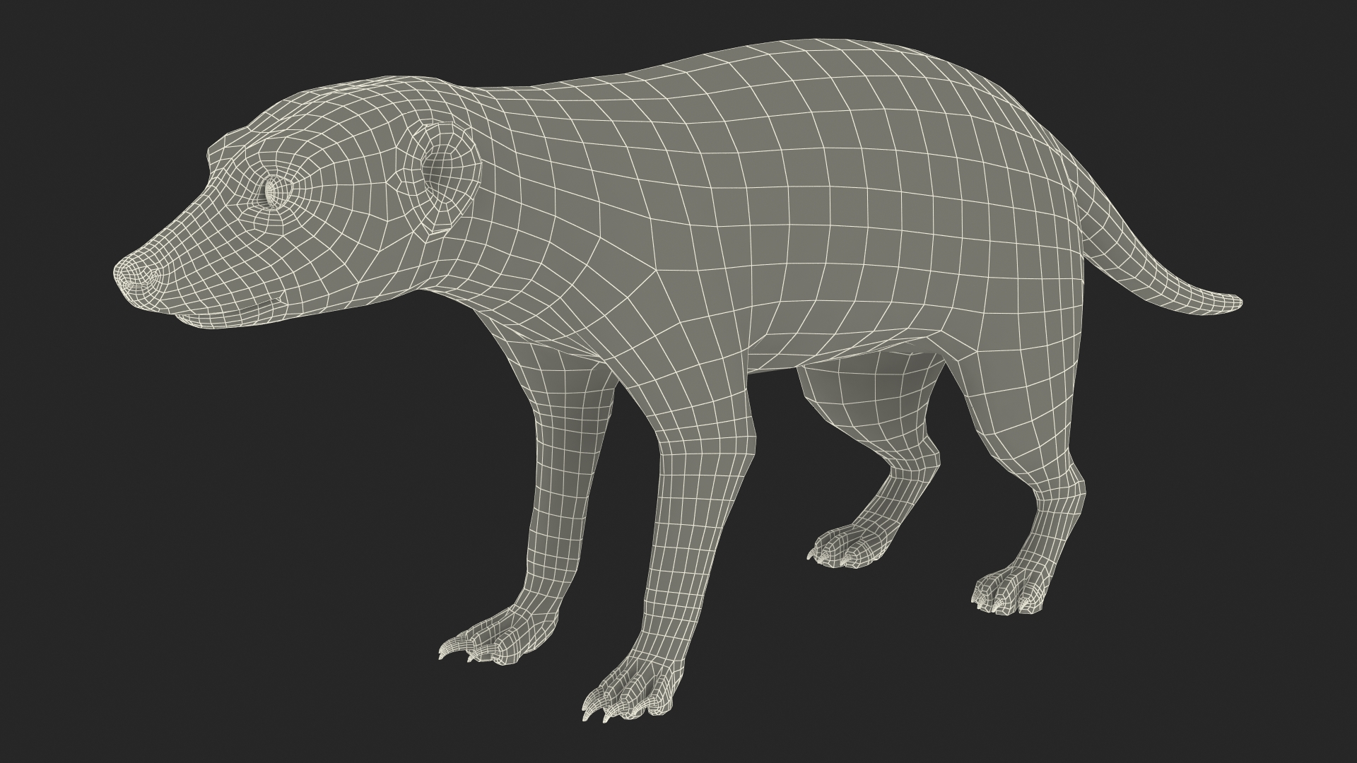 3D model Meerkat Neutral Pose
