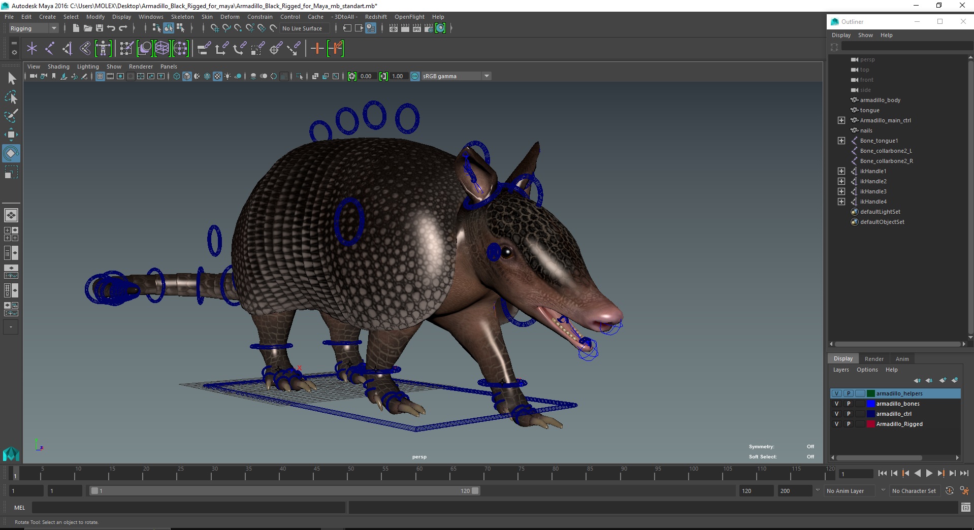 3D Armadillo Black Rigged for Maya