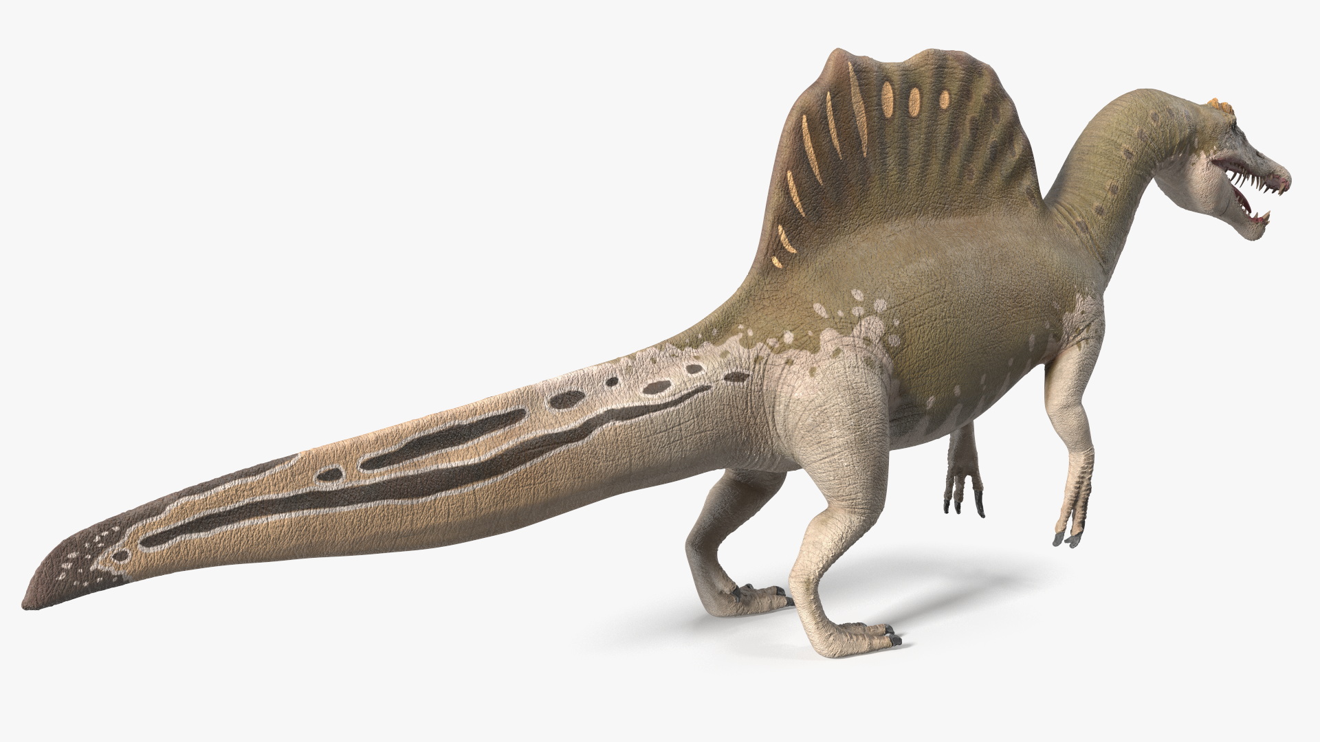 3D Spinosaurus Aegyptiacus Yellow Basic Pose