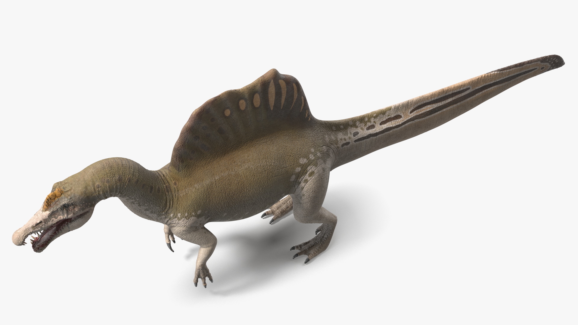 3D Spinosaurus Aegyptiacus Yellow Basic Pose