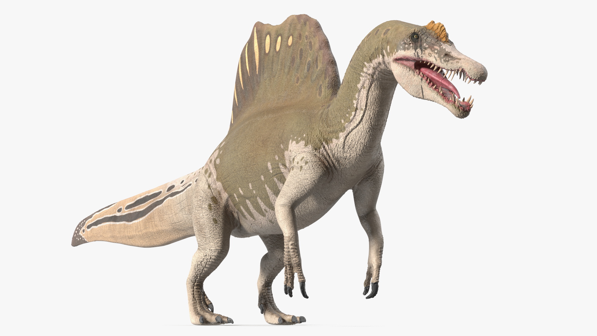 3D Spinosaurus Aegyptiacus Yellow Basic Pose