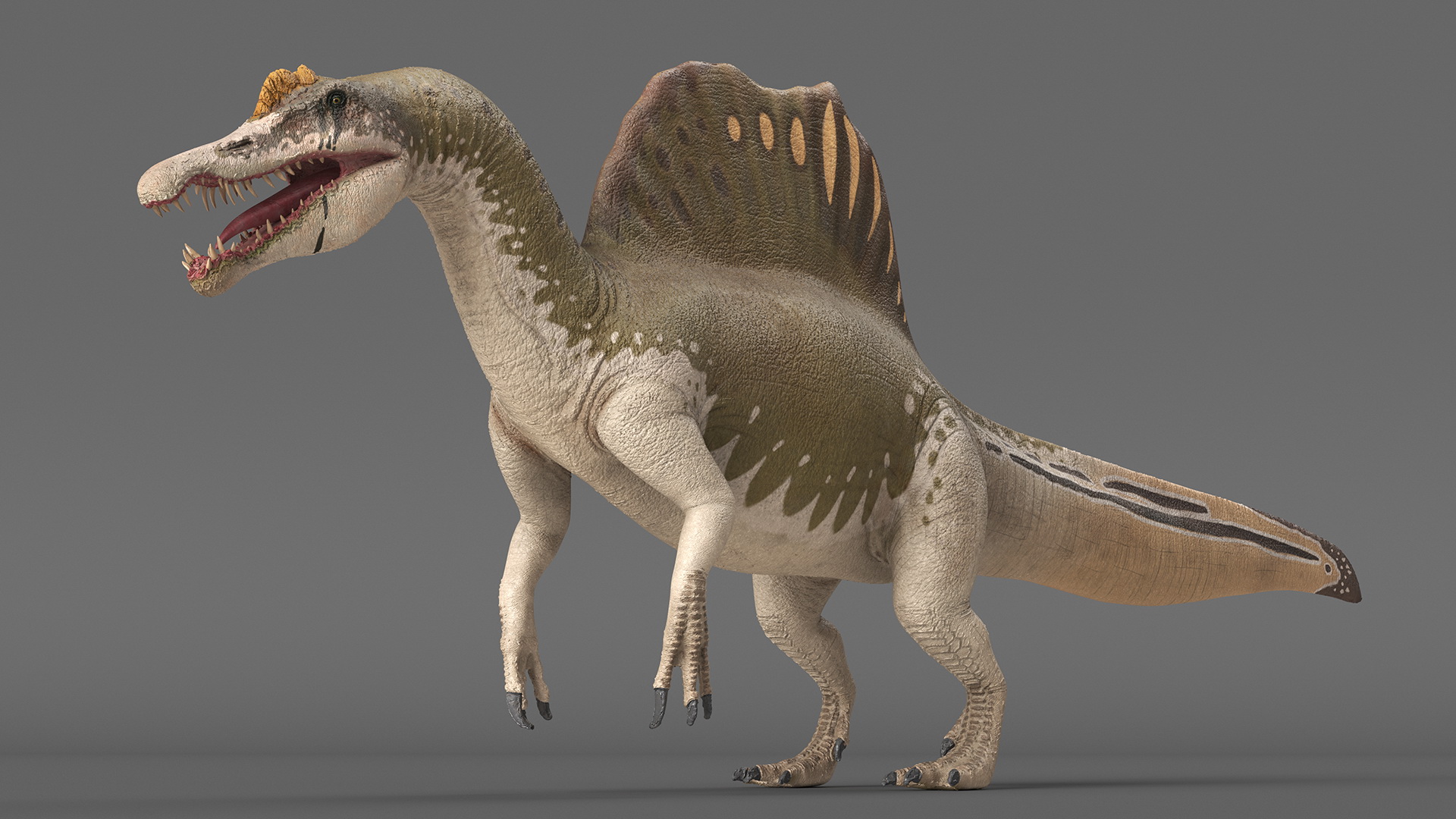 3D Spinosaurus Aegyptiacus Yellow Basic Pose