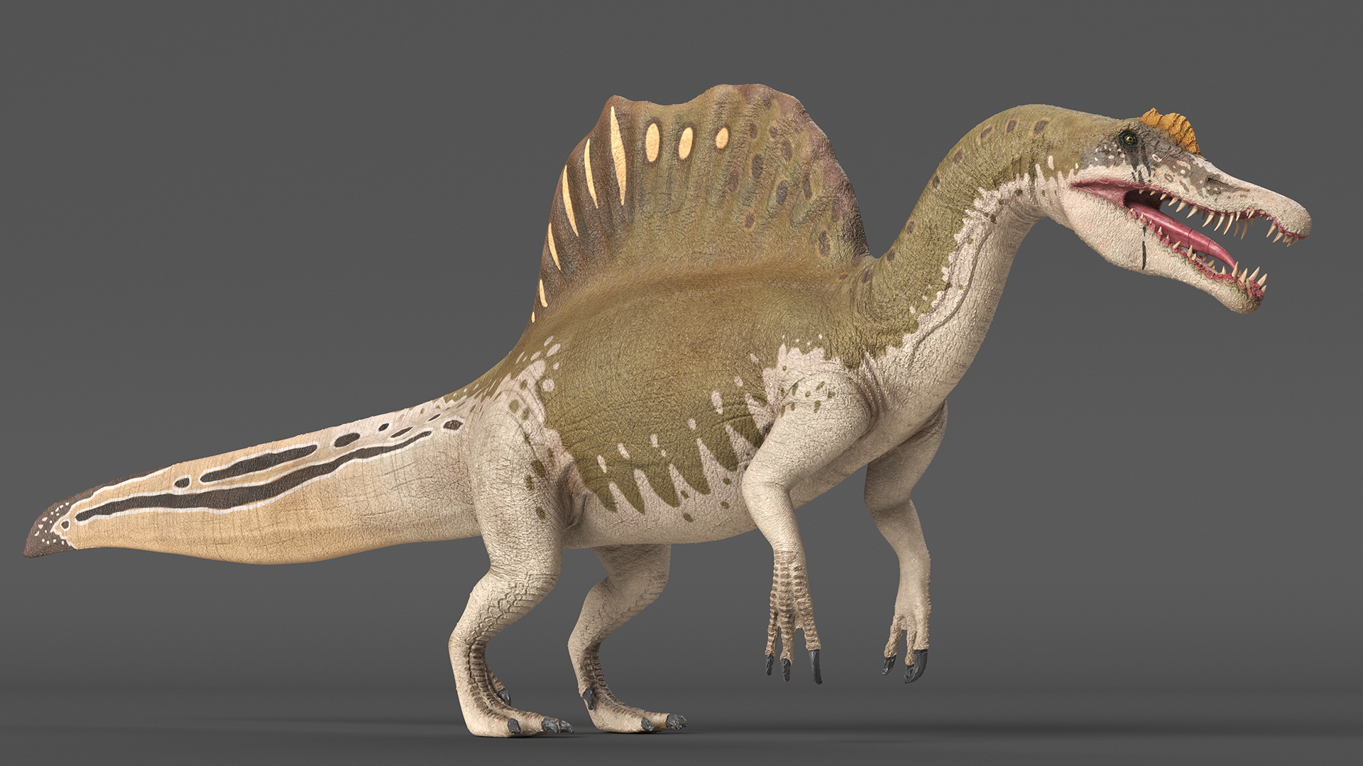 3D Spinosaurus Aegyptiacus Yellow Basic Pose