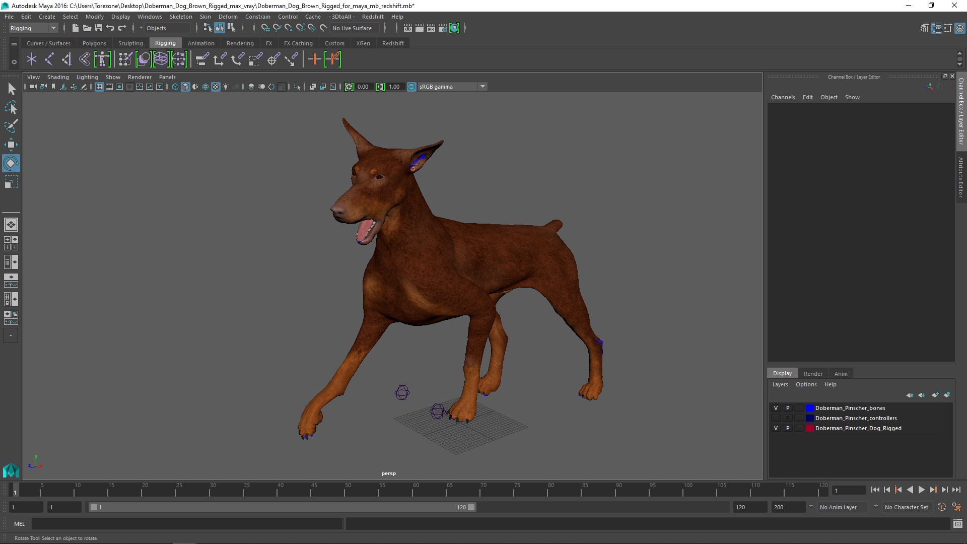 Doberman Dog Brown Rigged for Maya 3D model