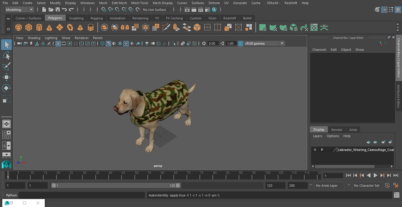 Labrador Wearing Camouflage Coat 3D