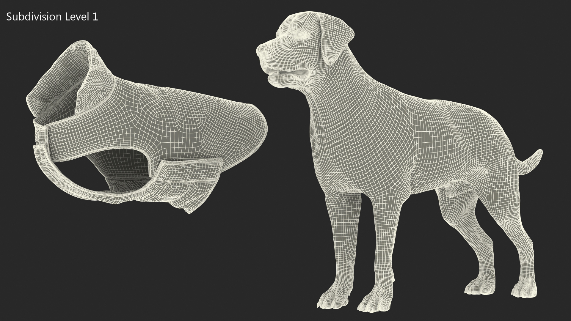 Labrador Wearing Camouflage Coat 3D