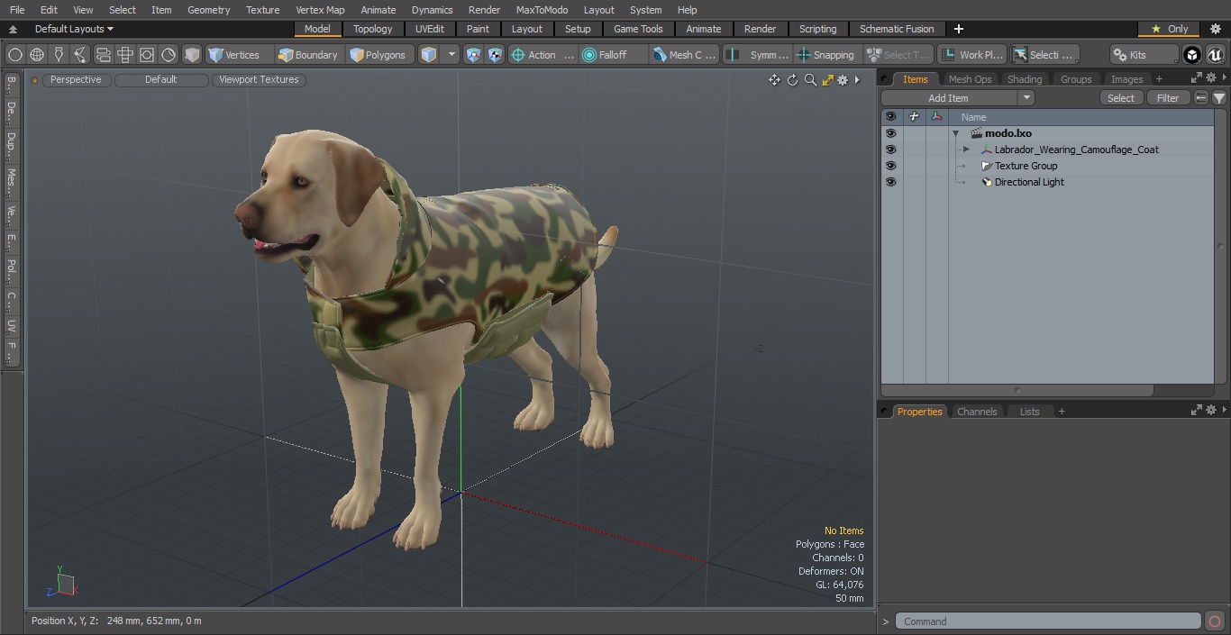 Labrador Wearing Camouflage Coat 3D