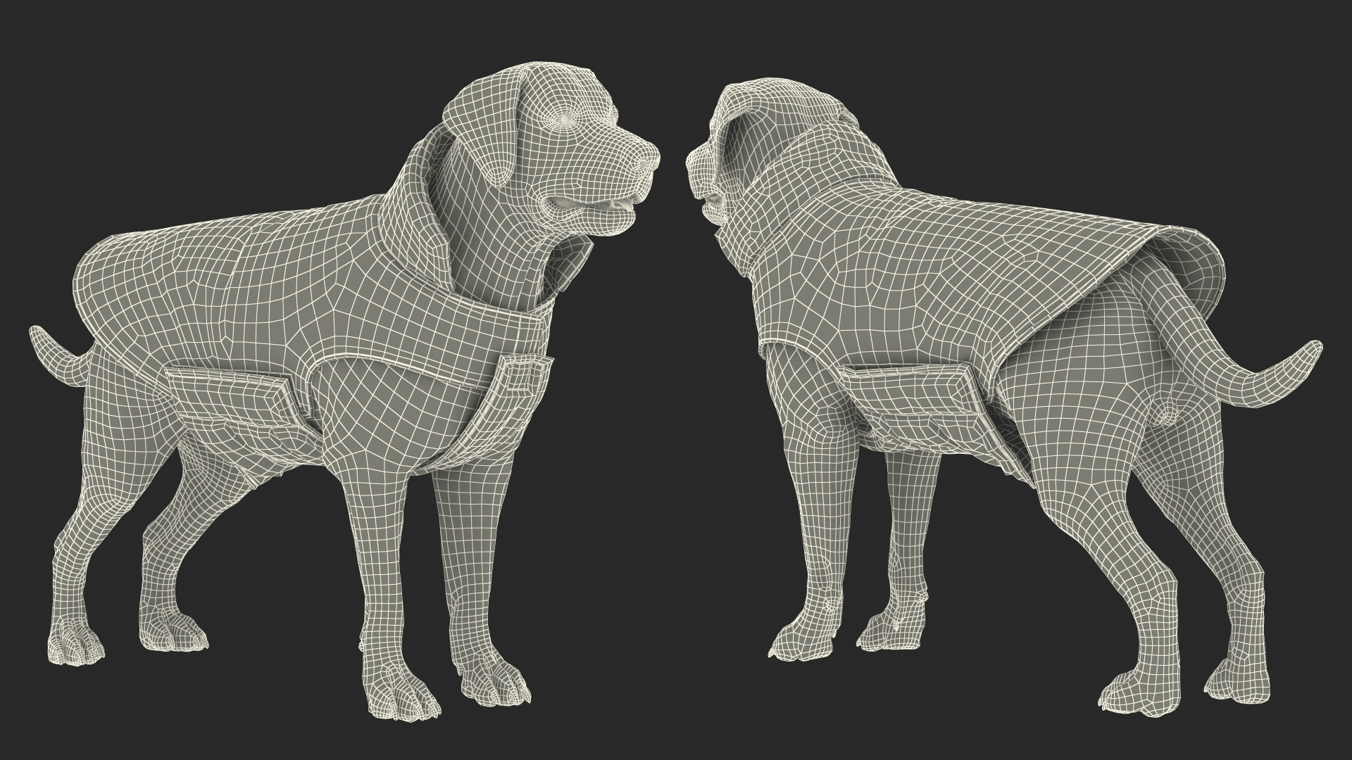 Labrador Wearing Camouflage Coat 3D