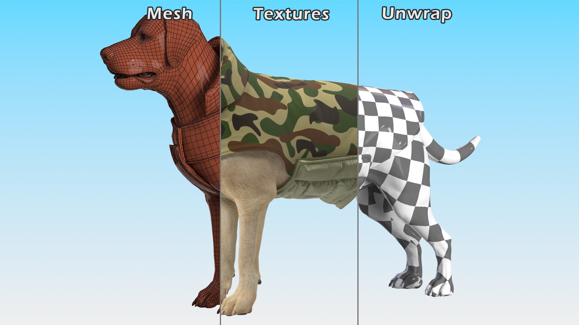 Labrador Wearing Camouflage Coat 3D