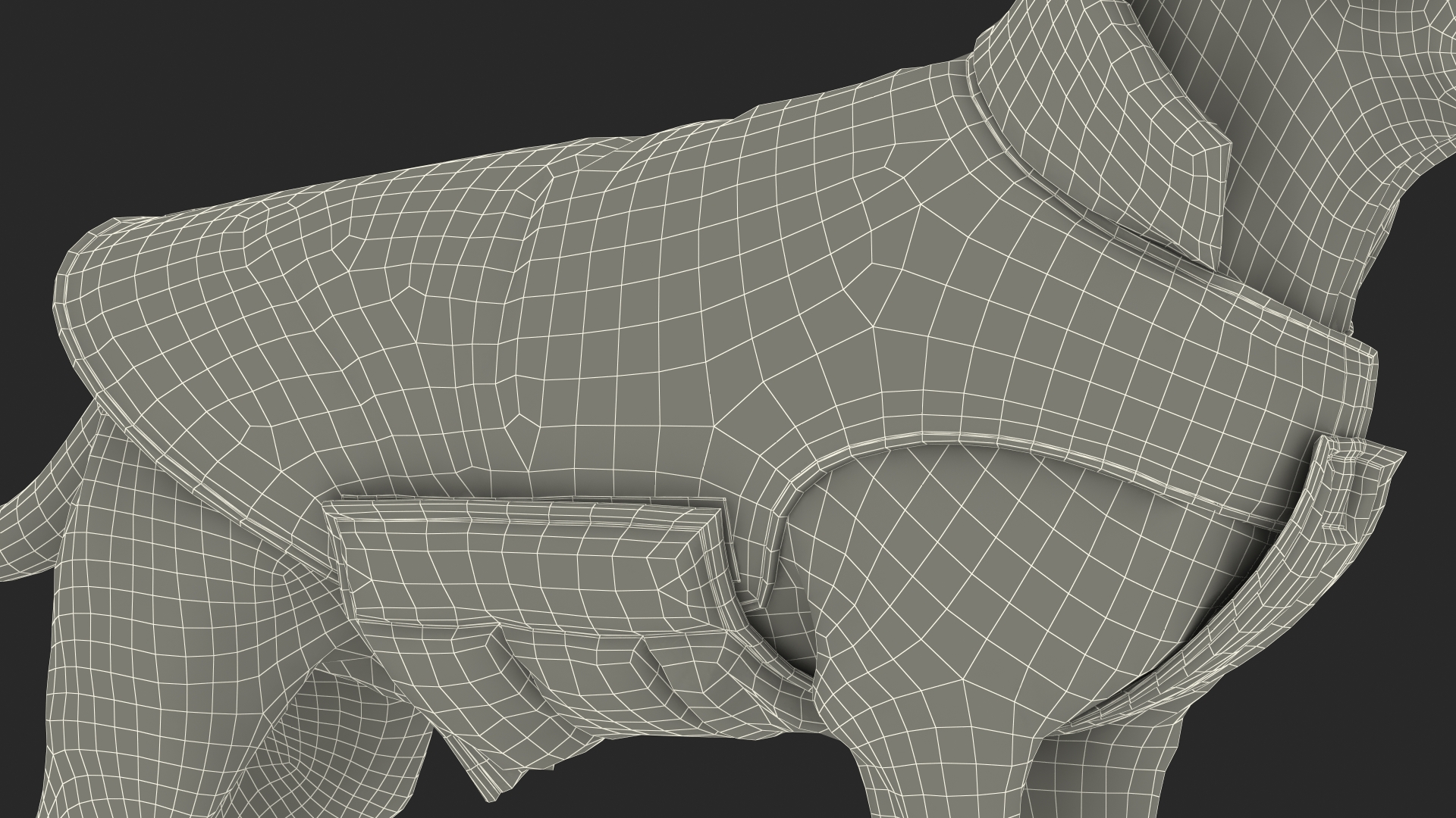 Labrador Wearing Camouflage Coat 3D