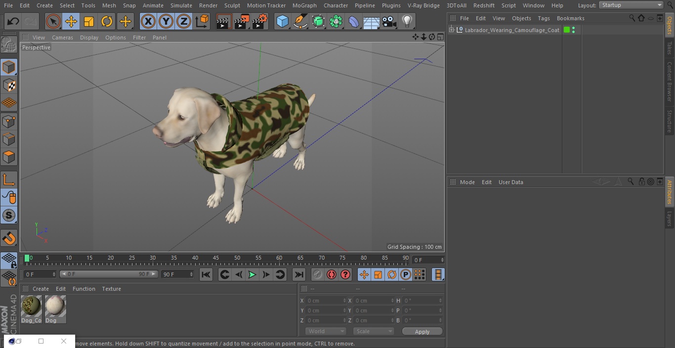 Labrador Wearing Camouflage Coat 3D