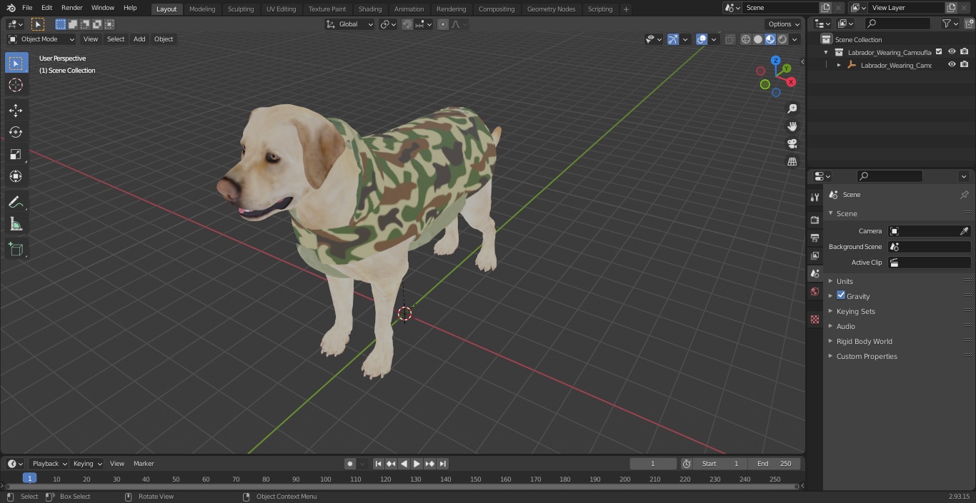 Labrador Wearing Camouflage Coat 3D