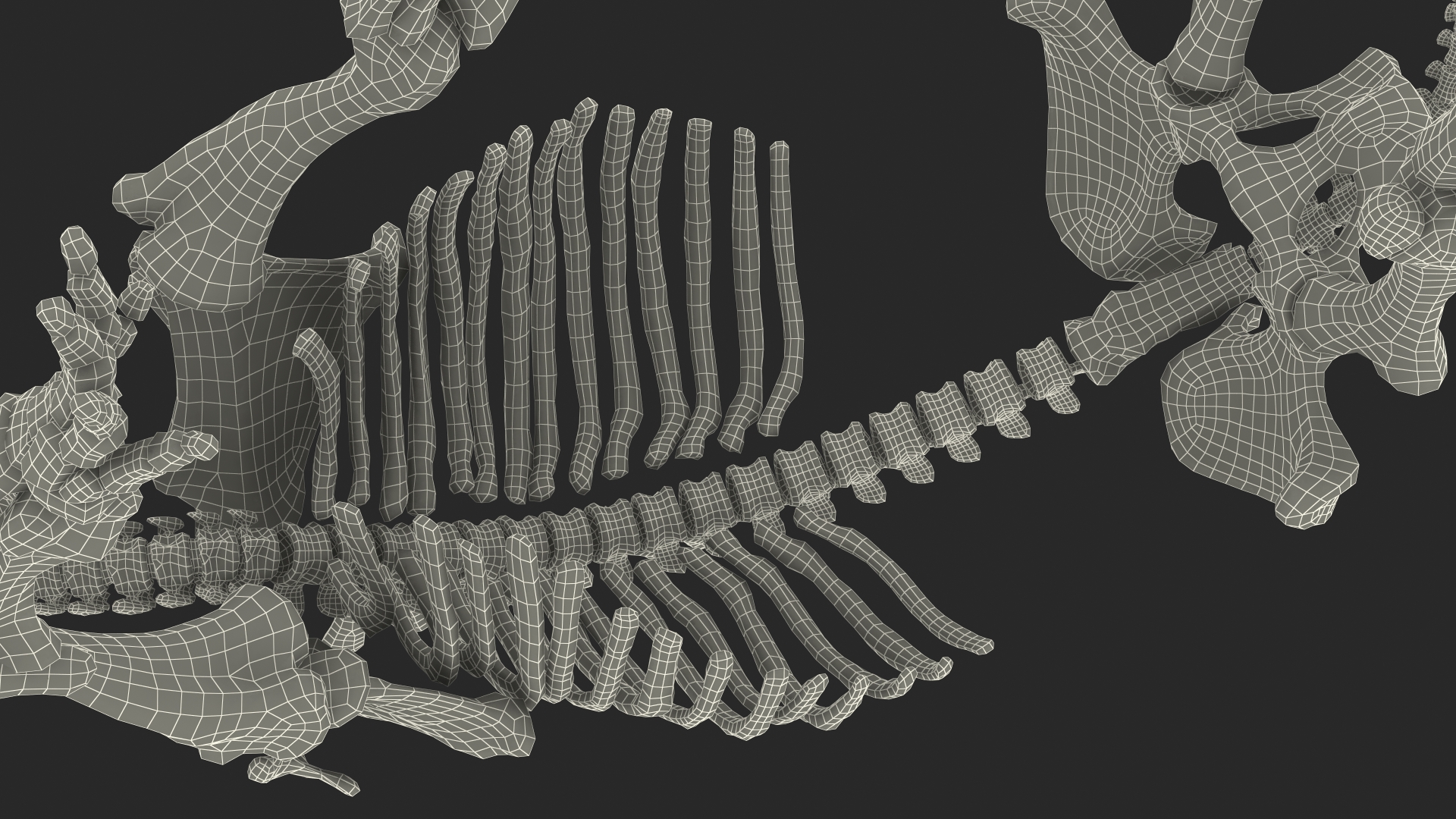 Mammoth Skeleton Old Bones Walking Pose 3D model