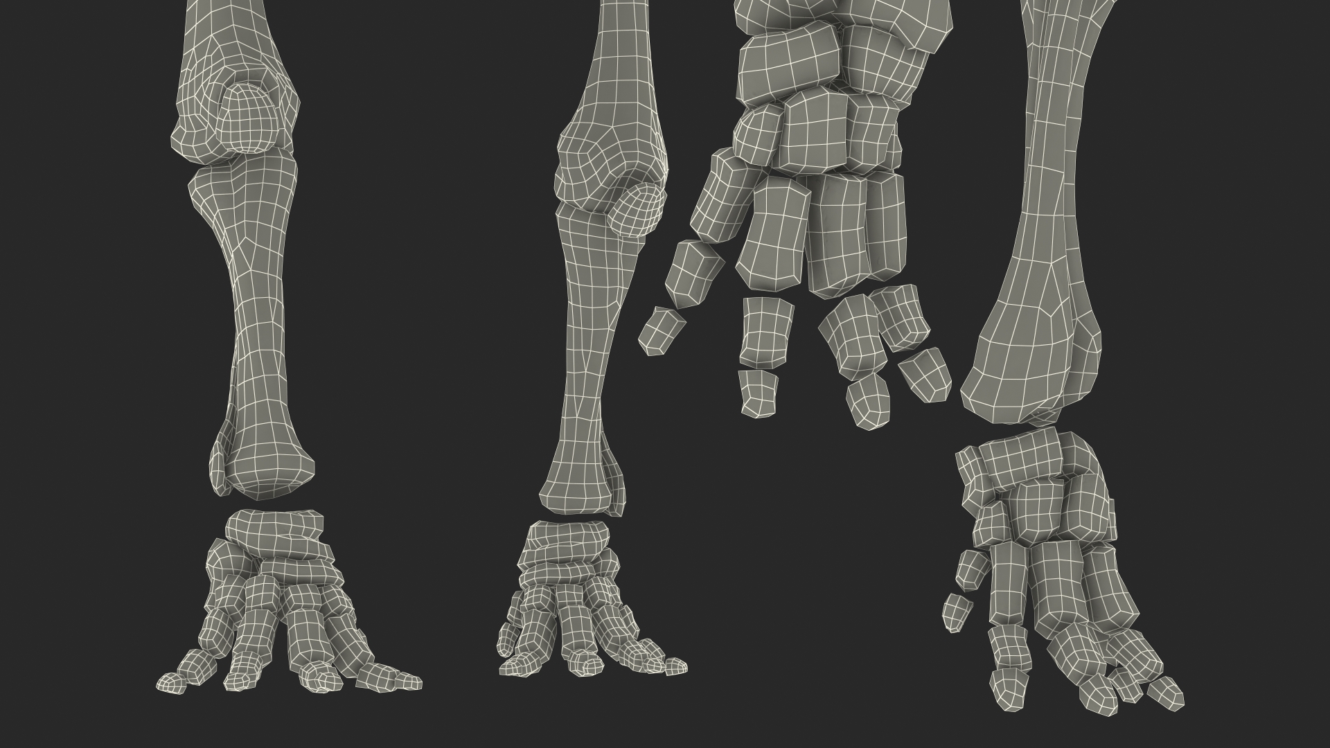 Mammoth Skeleton Old Bones Walking Pose 3D model