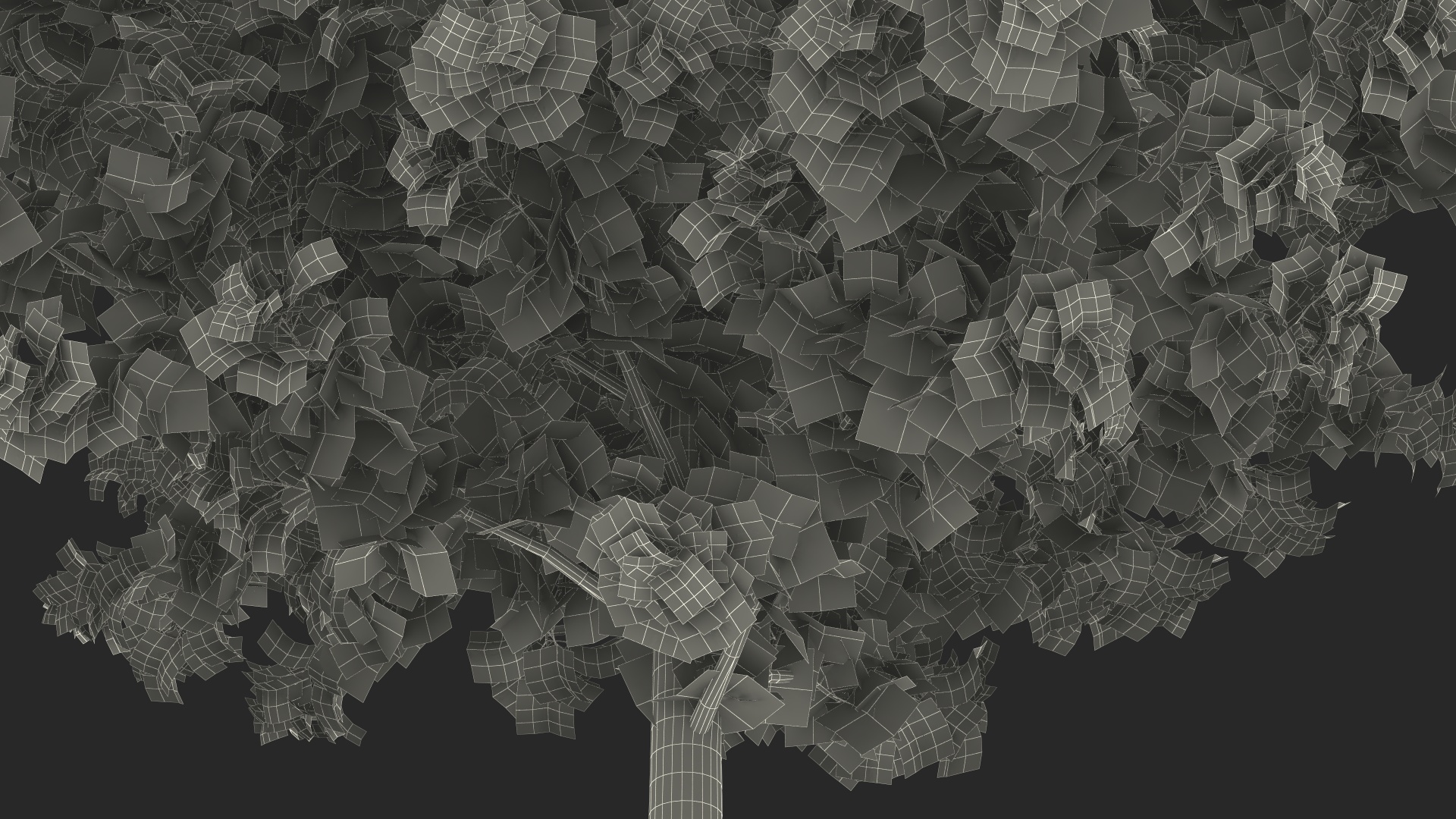 Realistic Young Poplar Tree 3D