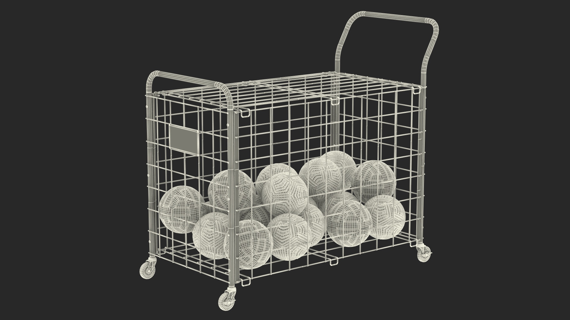 3D model Black Metal Organizer Containing Soccer Balls