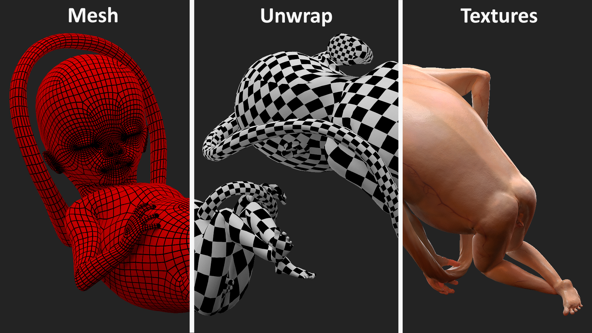 Human Fetus 16 Weeks Rigged 3D