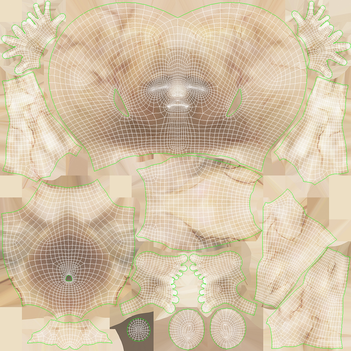 Human Fetus 16 Weeks Rigged 3D