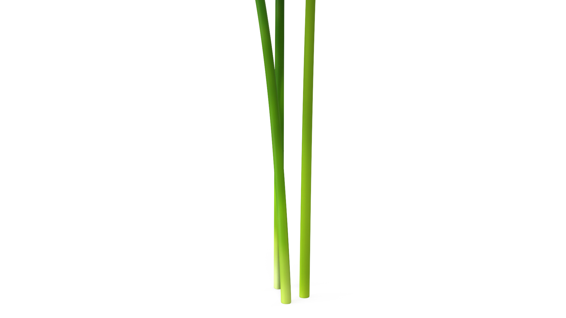 Spider Lily Flowers Bouquet 3D