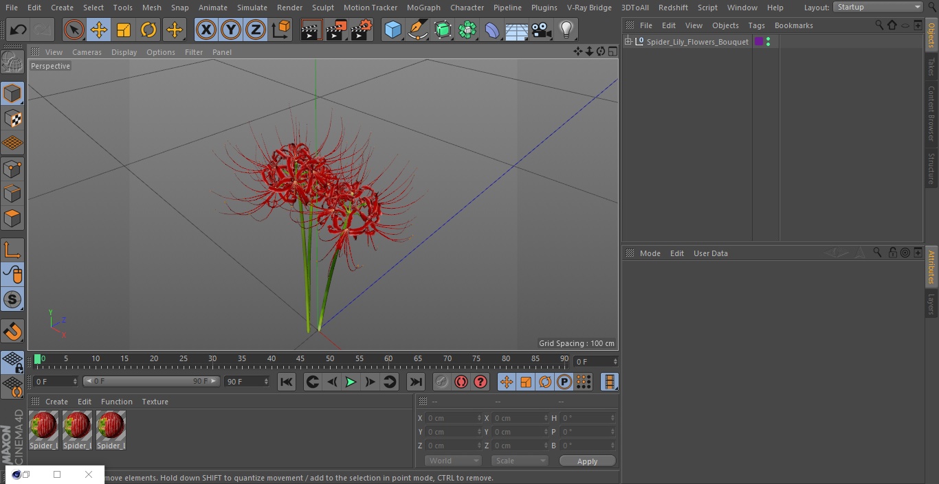 Spider Lily Flowers Bouquet 3D