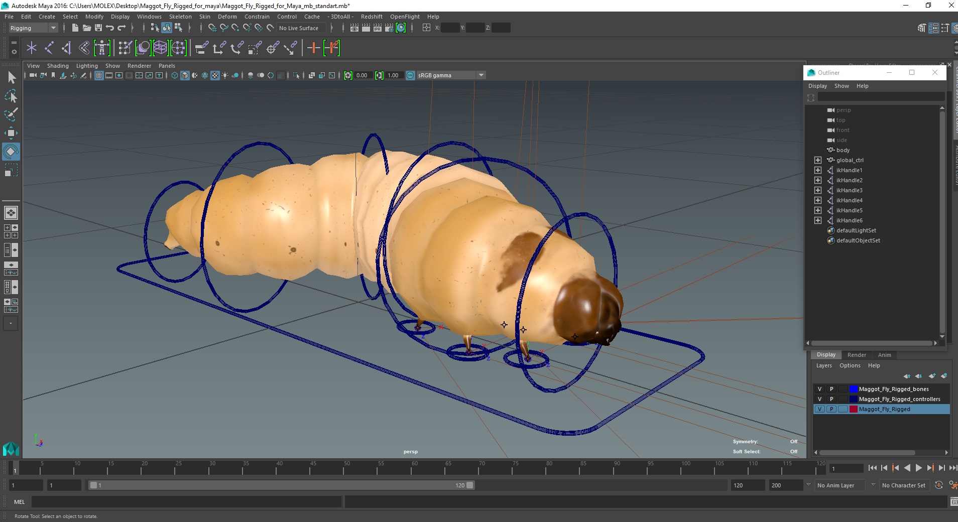 3D Maggot Fly Rigged for Maya